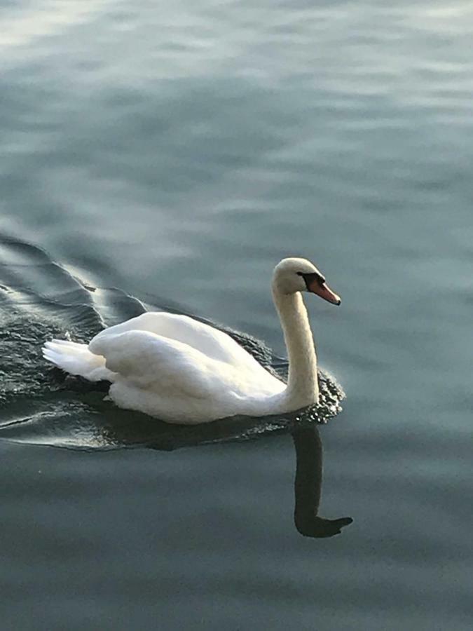 La Casa Di Tito - Como Lake Dış mekan fotoğraf